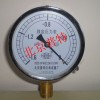 北京普特 膜盒压力表YE100-150